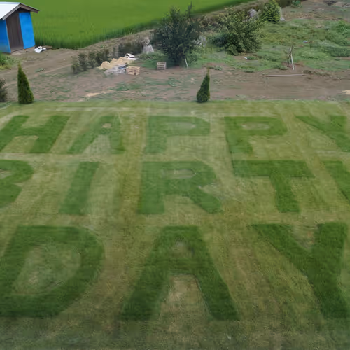 miraclekouichi Collection