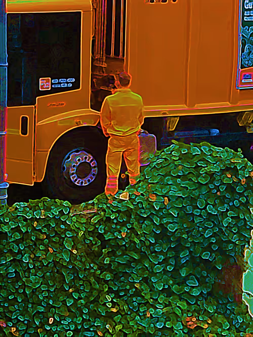 Item #39835780724183652411291241430751064638172208721759366325720861457015122165761 Media