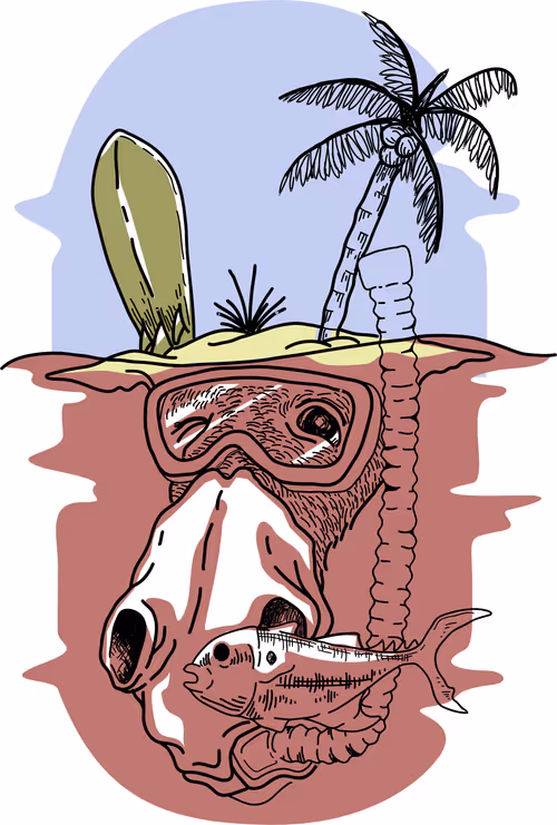 Item #104867563955901968621689900068854295715990099214560807221991668482558211915777 Media