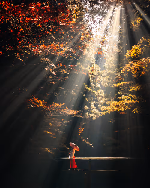 Item #90049380056498453893393161169671317540720347120321985291446298486667573460993 Media