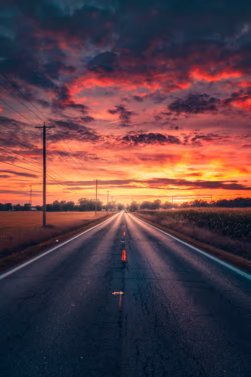 Item #62546128571173573861370652936856218284243546780344801453551937480534549069825 Media