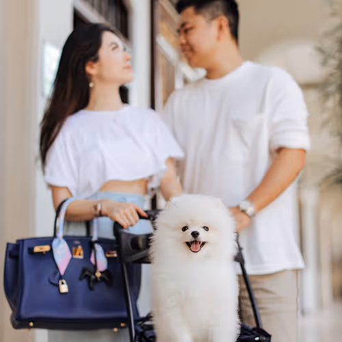 onthewaitlist Collection