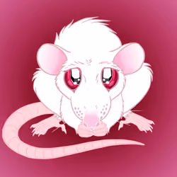Lil Ratties - Series #1 - Fancy Rats - Albino