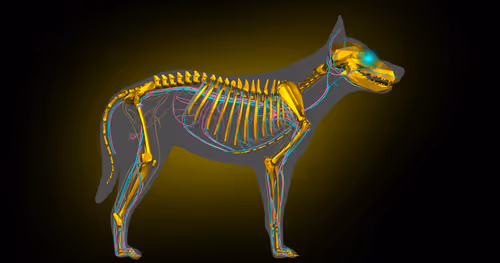 Item #85616260800140778956581373911837214761326127764924071871020287170534768115713 Media