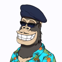 Chilled Kong #1366