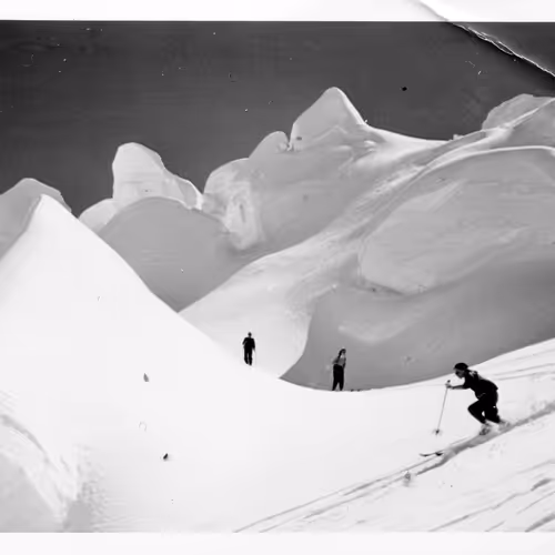 15134709310911277842728697403753673439210482131750318059492546359626731356161