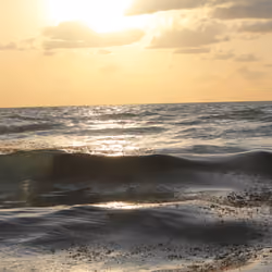 Sunrise Miami Beach