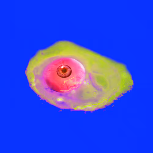 Item #111949141531655719589065996308699236556111057854959939341598673576642853470211 Media