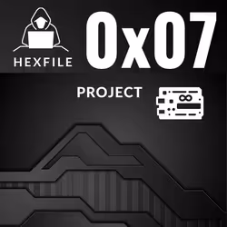 0x07