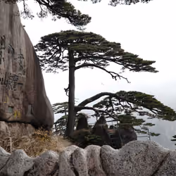 Huangshan Mountain # 4