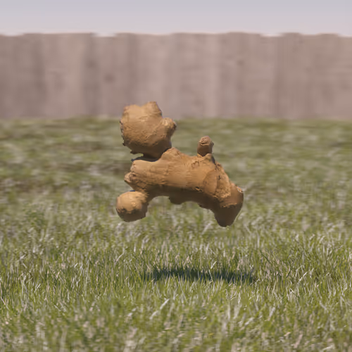 Item #582879791150672537777093763494450885122438537135697025438452813621387853825 Media