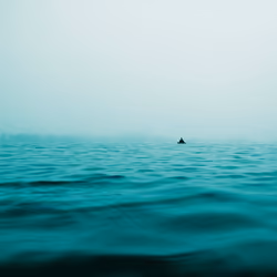 OpenSea 10