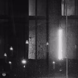 Starlight, Taichung (2019)