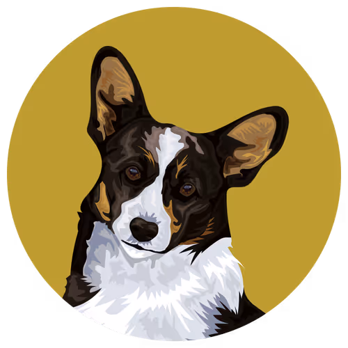 Item #54766349128176429303044182404049584425310907481653304317570413858364564963329 Media