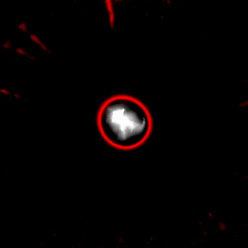 51929734946411346289540790635765095060363125039145709683616697213432310530049