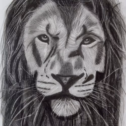 Item #55986617302409629486759846259040043364516686795130712673458847415678741250049 Media