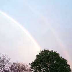 double rainbow
