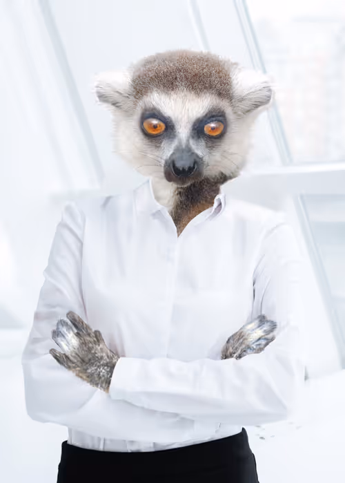 Item #36836811362522670824259516961817306371595381663714079495581083201394092015617 Media