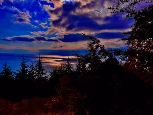 Pepper_RED Collection