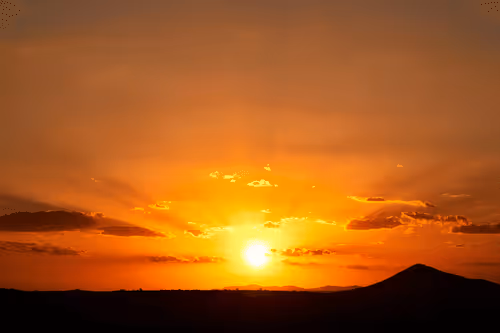 Where The Strongest are Born