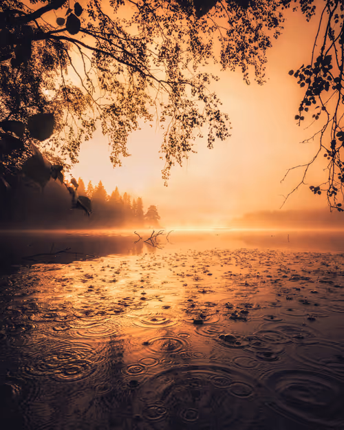 Item #134489906944514601836567189437532879130233761745768622289177275602852380673 Media