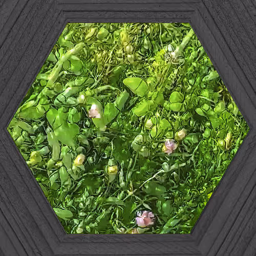 Item #19115886294448247408636390479007434719599239311134408839063466958024511324161 Media