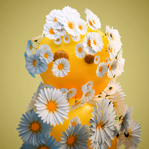 Item #57916331502316991672199383100965684258800268204105916394904766205320889368577 Media