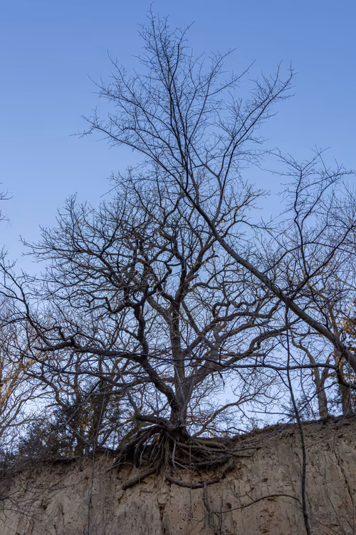 Item #19684374529110288056520570276703370007863893692966726326193838148180231847937 Media