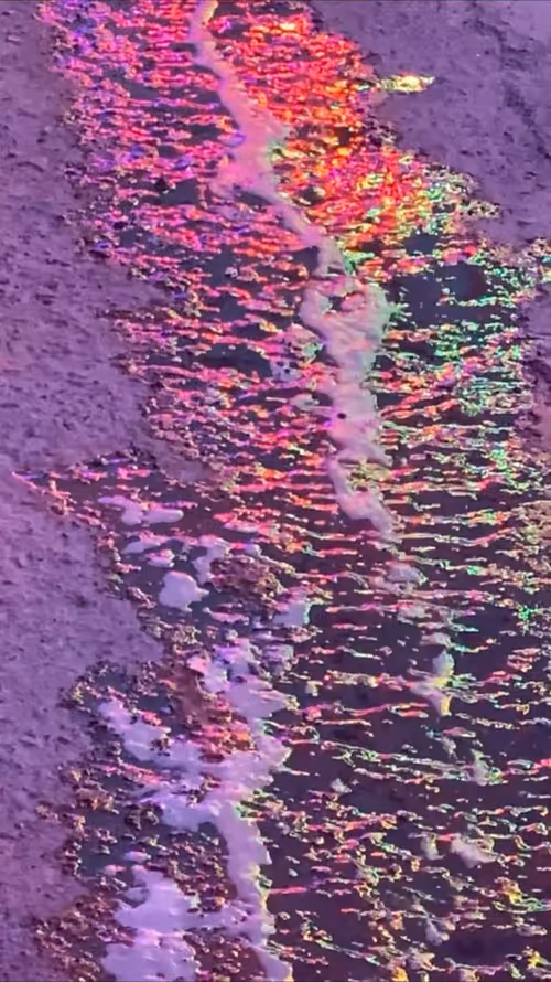 Item #62402000334580523921237358418718502457721815832787791947048085161755690401793 Media