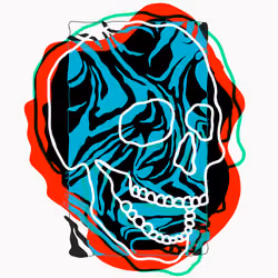 Transparent Skull
