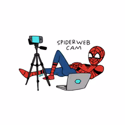 SPIDERWEB CAM