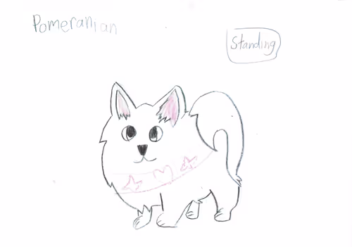 Parker the Pom with Jeweled Collar