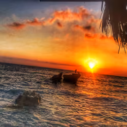 Sea souls