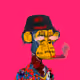 Notbox_ Collection