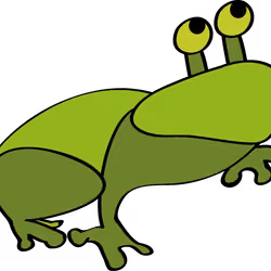 Curious Frog