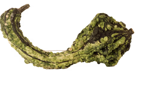 Item #35733408950682889513496686103591328439267245450055177033221291799932649340929 Media