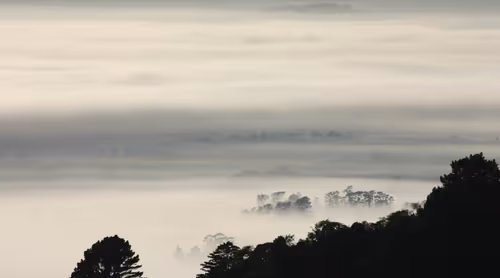 Item #93843816189578981246560604655943518308185846623120940061859981430957801472001 Media