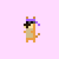 tiny dogs #3401