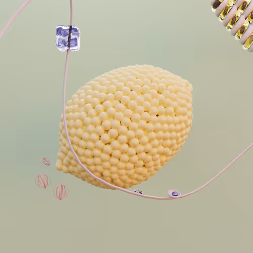 Item #52340185593795268693216480024385572018265039385291647297478075468074234937345 Media