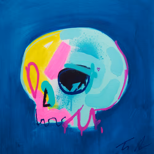 Memento Mori 100 Skulls By Tim Fowler
