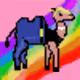 CamelPunks