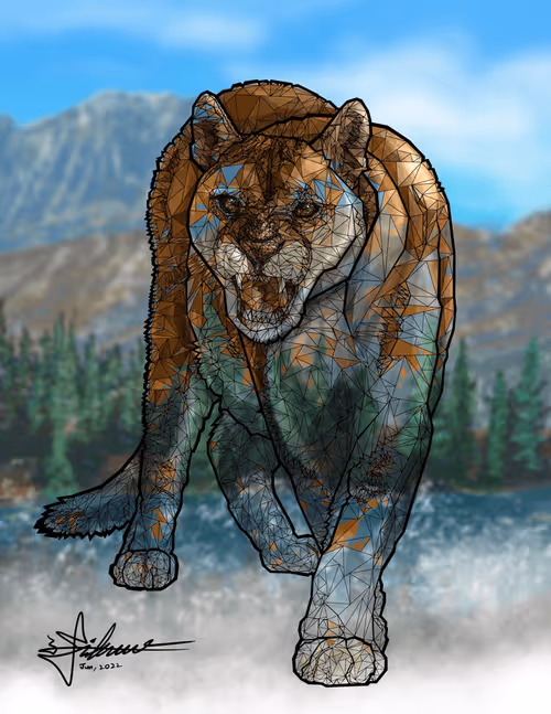 Item #27193563482882522542439939713459761912672392428874250881535281000708157997062 Media