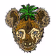 hyenapalmtree Collection