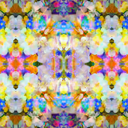 HolyPansyFlowers