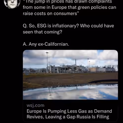 ESG is Inflationary 