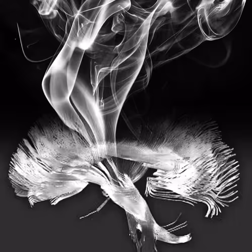 Item #44820903106987093458998790611995561527004783591399631822843358585143515152385 Media