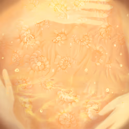 Memory Of The Cell Series