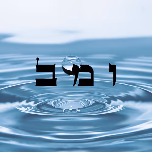 Item #60261209402415139582755570421670089329548312864668202741056927080714921312257 Media