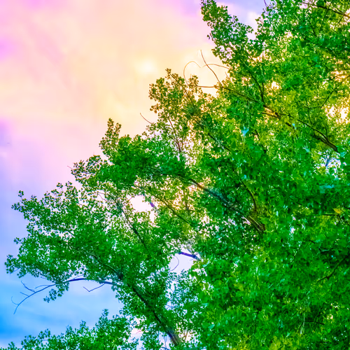 Item #35965218379738729691291467168286792303482134167127854404987491562496133693441 Media