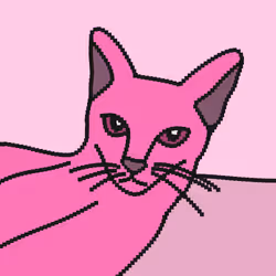 LazyCat 19